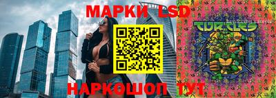 ПСИЛОЦИБИНОВЫЕ ГРИБЫ Канаш