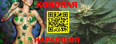 ПСИЛОЦИБИНОВЫЕ ГРИБЫ Канаш