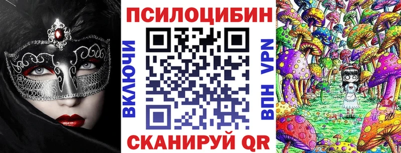 KRAKEN ТОР  где найти   Мариинск  Псилоцибиновые грибы Cubensis 